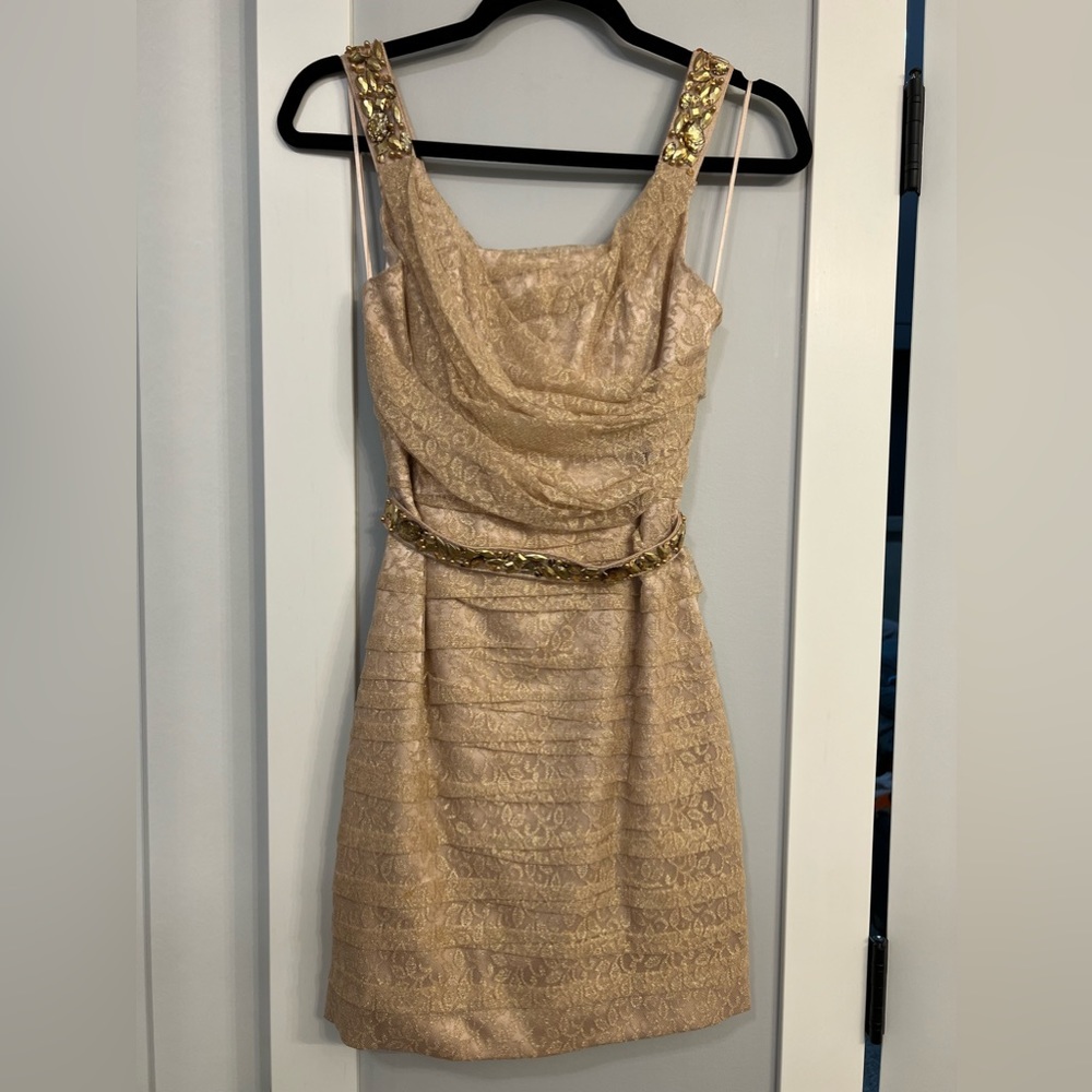Express Champagne Lace & Jeweled Dress